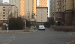 开源嘉苑爆料事件视频最新,揭秘背后真相与争议